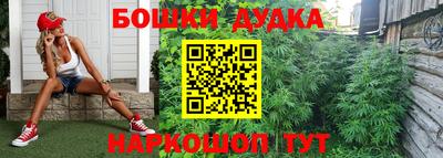 молекула духа Ликино-Дулёво