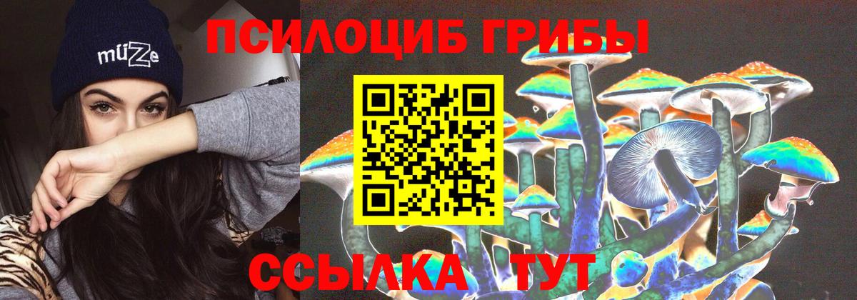 наркотики  Галлюциногенные грибы прущие грибы  Вход с VPN  Камышин 