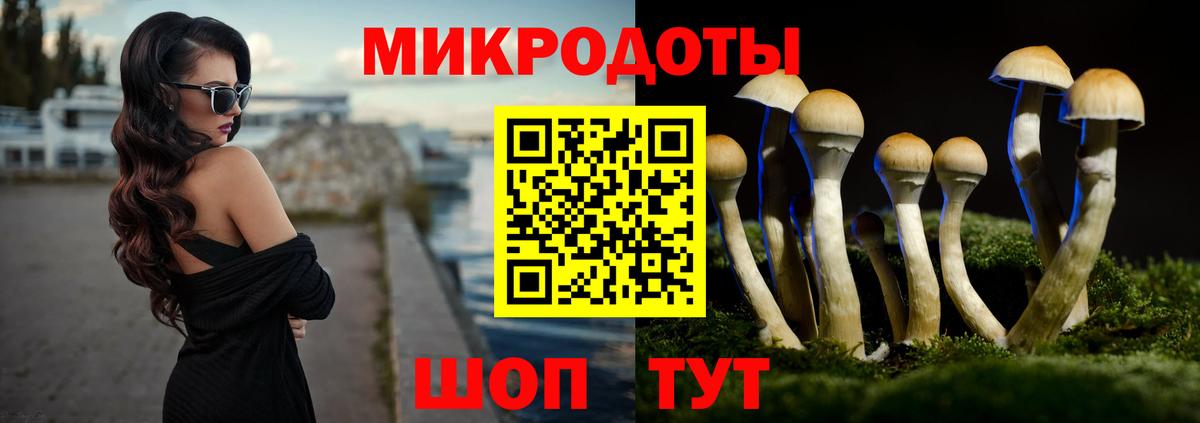 Псилоцибиновые грибы прущие грибы Камышин